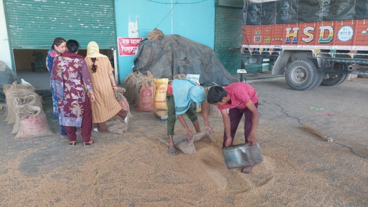प्राकृतिक खेती को मिला 'गारंटी का बाजार', हिमाचल में बढ़ रहा किसानों का भरोसा ऊना बना सकारात्मक बदलाव का उदाहरण, तीन वर्षों में 9,393 किसानों ने अपनाई प्राकृतिक खेती