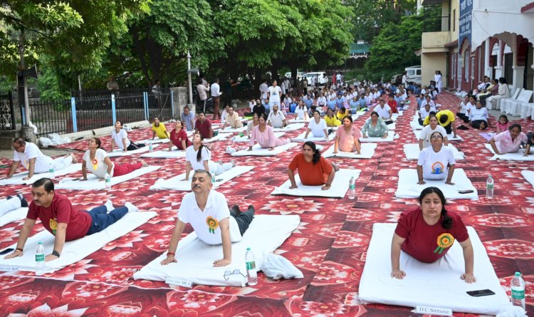 नाहन :पक्का तालाब मैदान  में अन्तर्राष्ट्रीय योग दिवस  मनाया.....