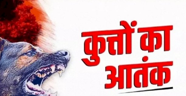 रेबीज से प्रवासी व्यक्ति की मौत : स्वास्थ्य विभाग ने उठाए ऐहतियाती कदम….