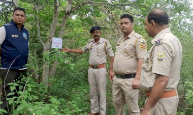 एंटी-चिट्टा अभियान : प्रदेश के 573 स्थानों पर चलाया गया गहन तलाशी अभियान...1774 वाहनों की तलाशी ली