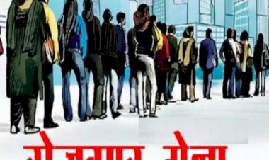 हमीरपुर में 22 जुलाई को सुबह 10 बजे लघु रोजगार मेला