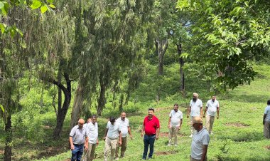 नाहन : रोटरी क्लब और होमगार्ड्स द्वारा विक्रम कैसल में 'द्वितीय मेगा वृक्षारोपण अभियान' का किया आयोजन