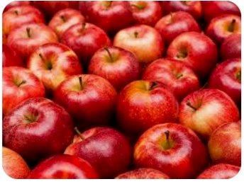 जिला शिमला में सेब ढुलाई की दरें निर्धारित अधिक शुल्क वसूलने पर दोषी ऑपरेटर यूनियनों के विरुद्ध होगी कानूनी कार्रवाई