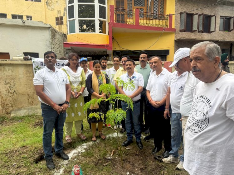 नाहन : रोटरी क्लब नाहन द्वारा ऐतिहासिक रानीताल गार्डन में वृक्षारोपण एवं स्वच्छता अभियान का आयोजन