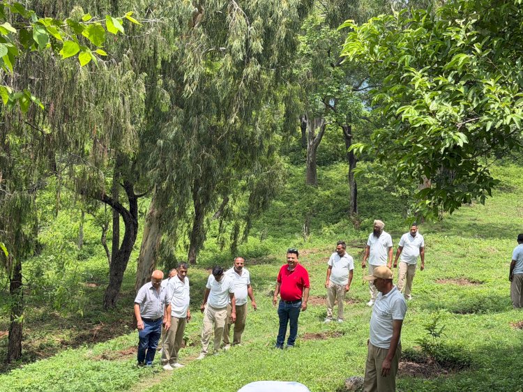 नाहन : रोटरी क्लब और होमगार्ड्स द्वारा विक्रम कैसल में 'द्वितीय मेगा वृक्षारोपण अभियान' का किया आयोजन